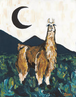 Llama in Sage