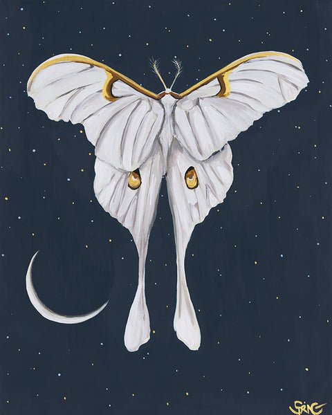 Lunar Moth