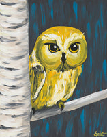 Owl in Birch